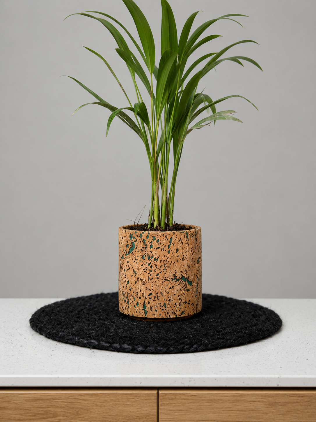 Cork Planter Aqua