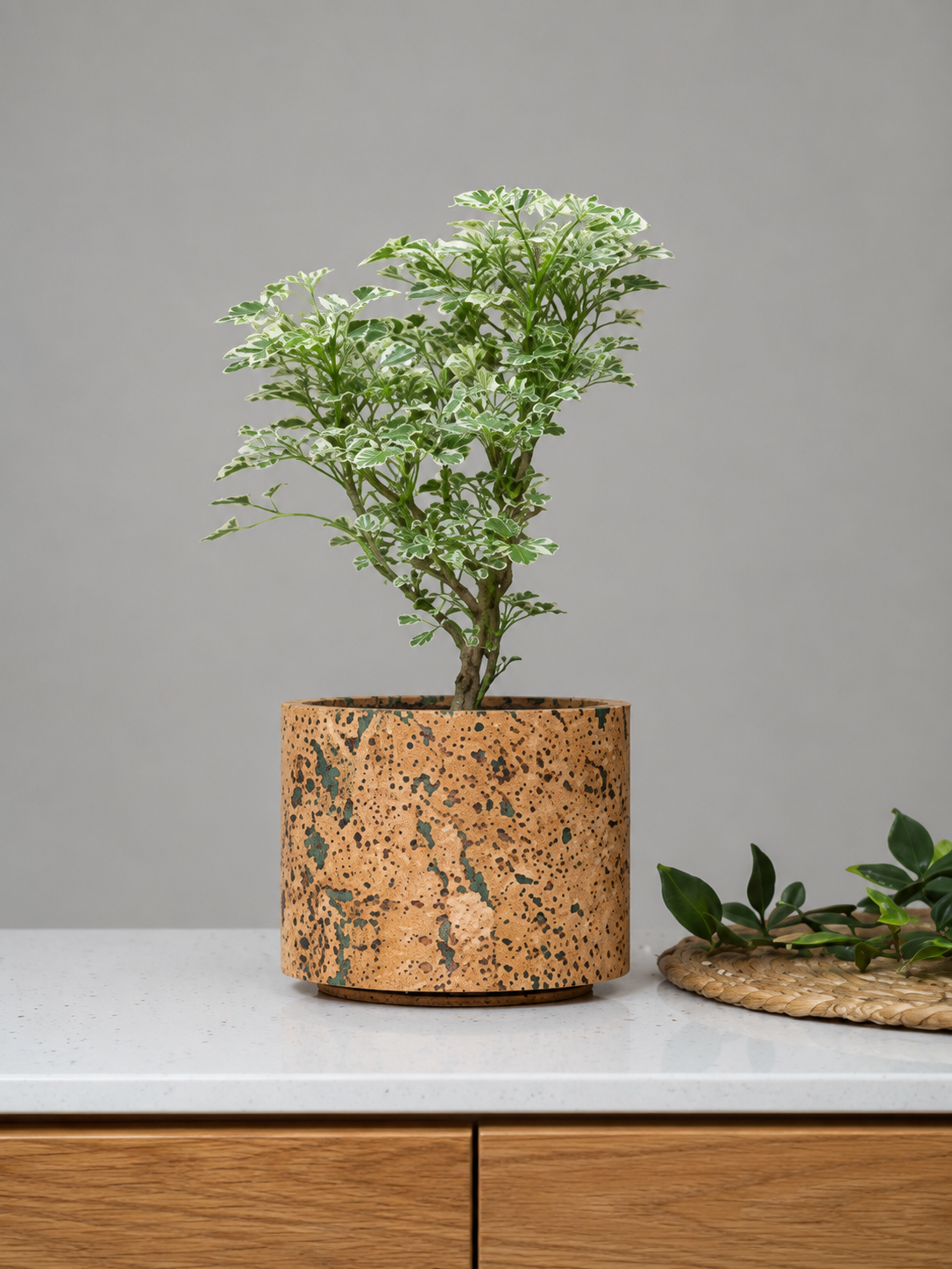 Cork Planter Aqua - Image 2