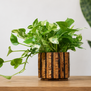 Cork Planter Striped