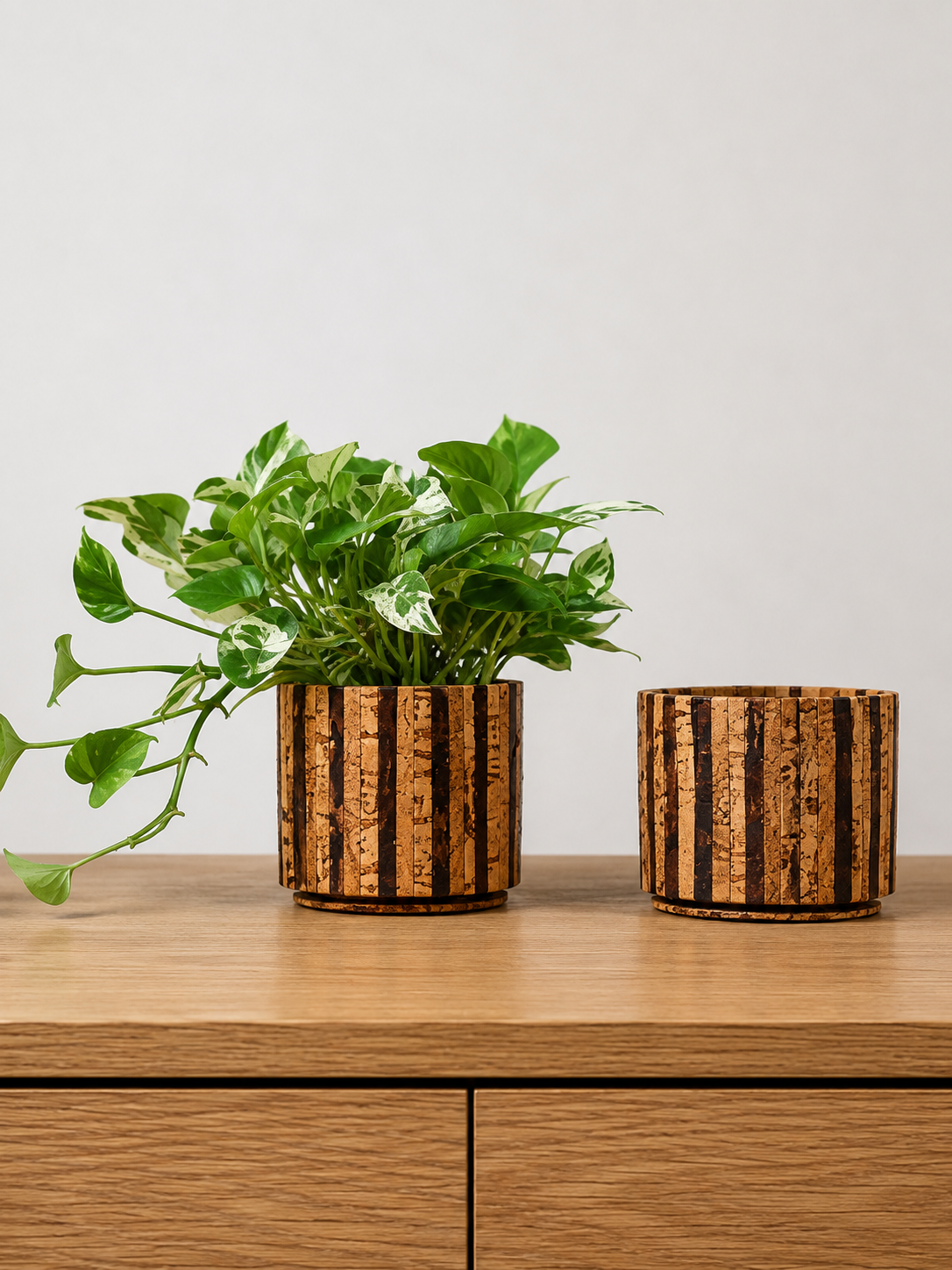 Cork Planter Striped - Image 2