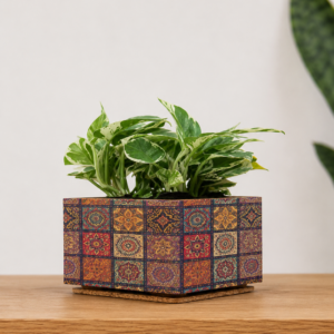 Cork Planter Box Print