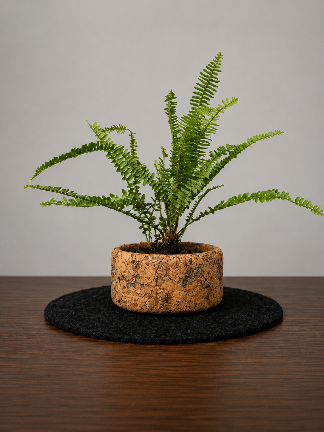 Cork Aqua Flat Planter