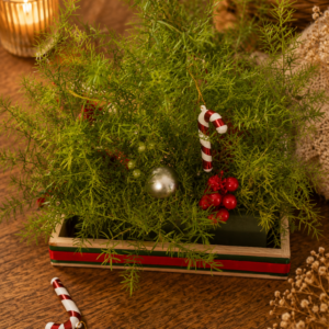 Festive Christmas Greenery Planter